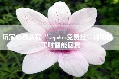 玩家必看教程“wepoker免费挂”辅助器 - 实时智能回复