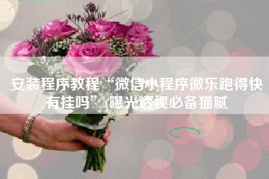 安装程序教程“微信小程序微乐跑得快有挂吗”(曝光透视必备猫腻