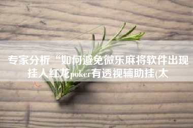 专家分析“如何避免微乐麻将软件出现挂人红龙poker有透视辅助挂(太