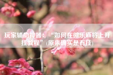 玩家辅助神器：“如何在微乐麻将上开挂教程”(原来确实是有挂)