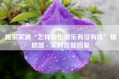 独家实测“怎样看出微乐有没有挂”辅助器 - 实时智能回复