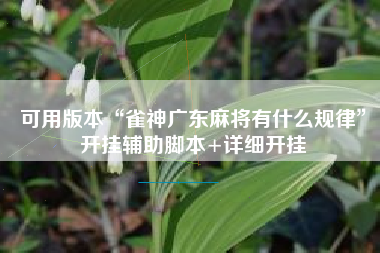 可用版本“雀神广东麻将有什么规律”开挂辅助脚本+详细开挂