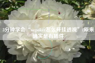 3分钟学会“wepoker怎么开挂透视	”(原来确实是有插件