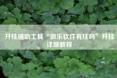 开挂辅助工具“微乐软件有挂吗”开挂详细教程