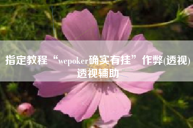指定教程“wepoker确实有挂	”作弊(透视)透视辅助