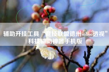 辅助开挂工具“竞技联盟德州sohoo透视”科技辅助神器手机版