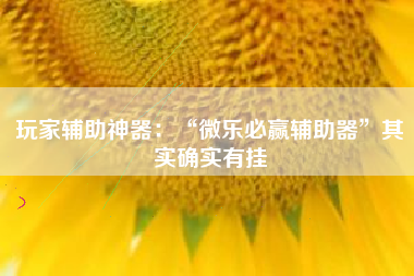 玩家辅助神器：“微乐必赢辅助器	”其实确实有挂