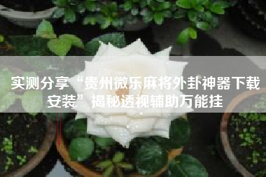 实测分享“贵州微乐麻将外卦神器下载安装	”揭秘透视辅助万能挂