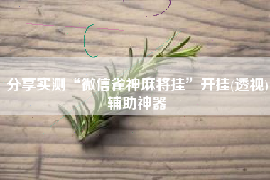 分享实测“微信雀神麻将挂	”开挂(透视)辅助神器