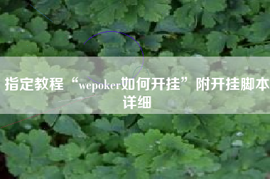 指定教程“wepoker如何开挂	”附开挂脚本详细