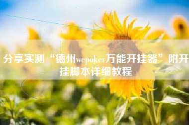 分享实测“德州wepoker万能开挂器”附开挂脚本详细教程