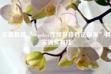 实操教程“wepoker作弊开挂方法原来	”其实确实有挂
