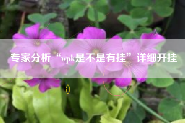专家分析“wpk是不是有挂”详细开挂