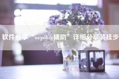 软件分享“wepoker辅助”详细分享装挂步骤