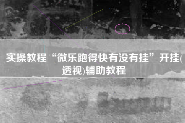 实操教程“微乐跑得快有没有挂”开挂(透视)辅助教程