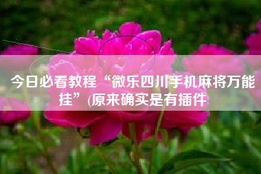 今日必看教程“微乐四川手机麻将万能挂”(原来确实是有插件