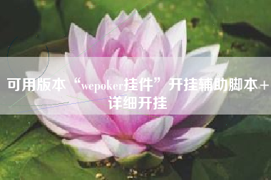 可用版本“wepoker挂件	”开挂辅助脚本+详细开挂