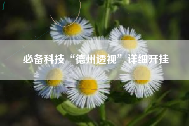 必备科技“德州透视”详细开挂