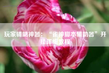 玩家辅助神器：“雀神脚本辅助器”开挂详细教程