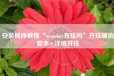 安装程序教程“wepoker有挂吗”开挂辅助脚本+详细开挂