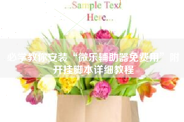 必学教你安装“微乐辅助器免费用	”附开挂脚本详细教程