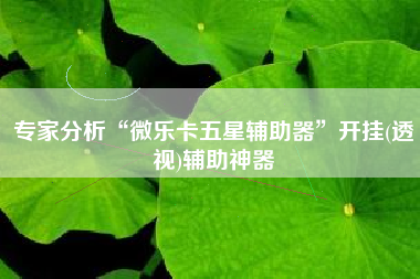 专家分析“微乐卡五星辅助器”开挂(透视)辅助神器