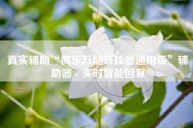 真实辅助“微乐万能开挂器通用版	”辅助器 - 实时智能回复