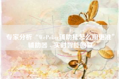 专家分析“WePoker辅助挂怎么用更准”辅助器 - 实时智能回复
