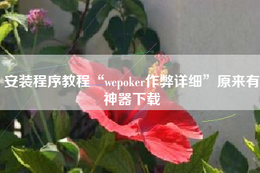 安装程序教程“wepoker作弊详细”原来有神器下载