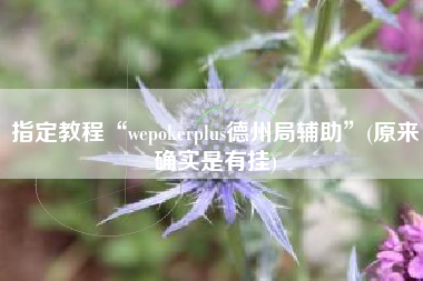 指定教程“wepokerplus德州局辅助”(原来确实是有挂)