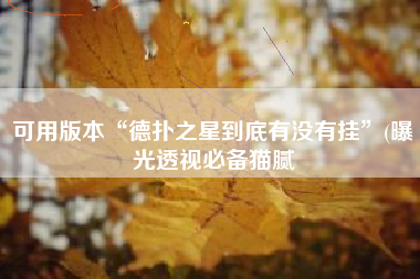 可用版本“德扑之星到底有没有挂”(曝光透视必备猫腻