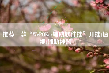 推荐一款“WePOKer辅助软件挂”开挂(透视)辅助神器