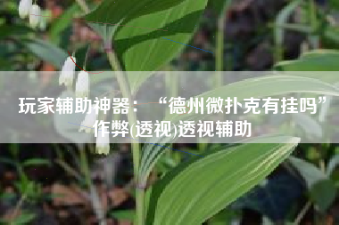 玩家辅助神器：“德州微扑克有挂吗”作弊(透视)透视辅助