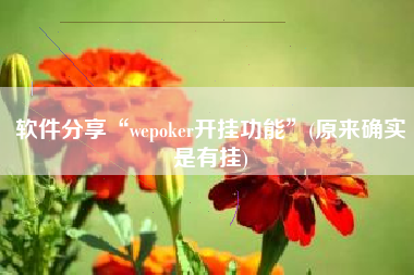 软件分享“wepoker开挂功能	”(原来确实是有挂)