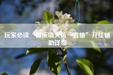 玩家必读“微乐填大坑一直输	”开挂辅助详细