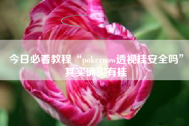 今日必看教程“pokernow透视挂安全吗”其实确实有挂