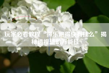 玩家必看教程“微乐跑得快有挂么	”揭秘透视辅助万能挂