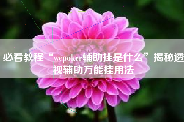 必看教程“wepoker辅助挂是什么”揭秘透视辅助万能挂用法