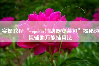实操教程“wepoker辅助器安装包”揭秘透视辅助万能挂用法