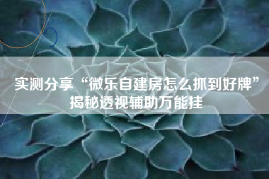 实测分享“微乐自建房怎么抓到好牌”揭秘透视辅助万能挂