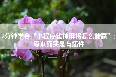 3分钟学会“小程序雀神麻将怎么能赢”(原来确实是有插件