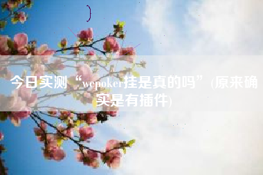 今日实测“wepoker挂是真的吗”(原来确实是有插件)
