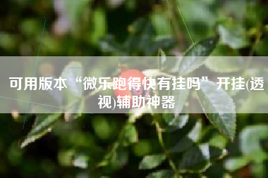 可用版本“微乐跑得快有挂吗	”开挂(透视)辅助神器