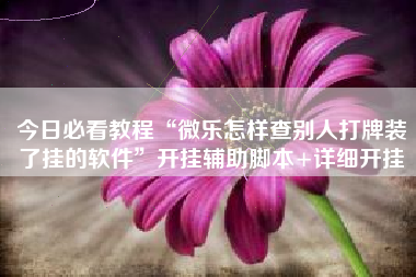 今日必看教程“微乐怎样查别人打牌装了挂的软件”开挂辅助脚本+详细开挂