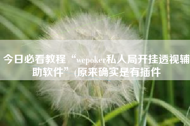 今日必看教程“wepoker私人局开挂透视辅助软件”(原来确实是有插件