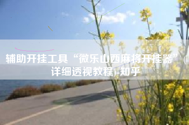 辅助开挂工具“微乐山西麻将开挂器”(详细透视教程)-知乎