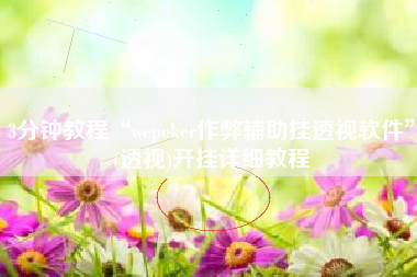 3分钟教程“wepoker作弊辅助挂透视软件”(透视)开挂详细教程