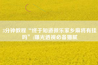 3分钟教程“终于知道微乐家乡麻将有挂吗	”(曝光透视必备猫腻