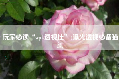 玩家必读“wpk透视挂	”(曝光透视必备猫腻