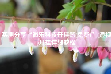 实测分享“微乐科技开挂器(免费)”(透视)开挂详细教程